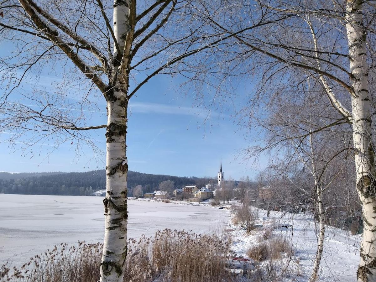 Domek Villa Frymburk Esterno foto